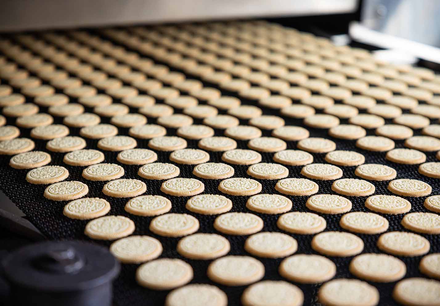 a line of golden cookies on a conveyor belt
